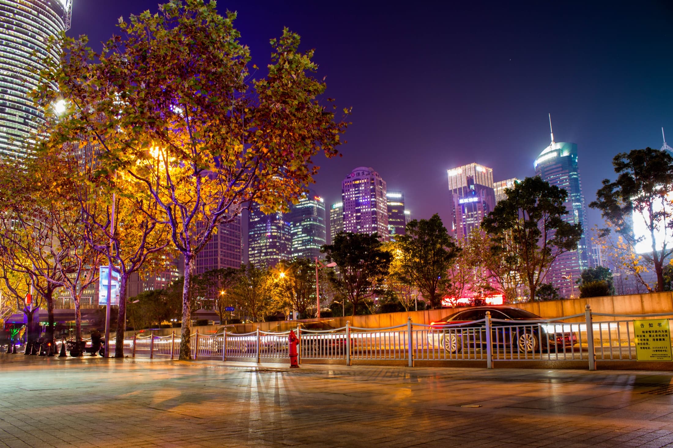 Nächtliche Straßenszene in Shanghai: golden beleuchtete Bäume vor Hochhäusern in kühlen Blau- und Violetttönen